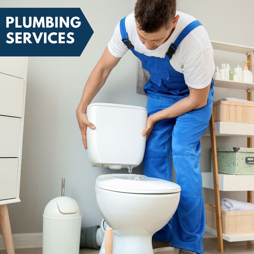 Plumbing Company in Perkins, MI